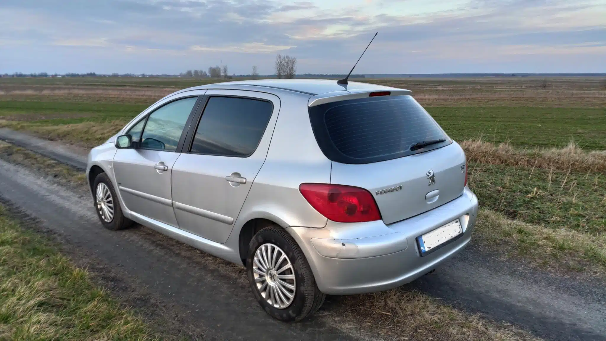 Peugeot 307 2.0HDI 2001r,