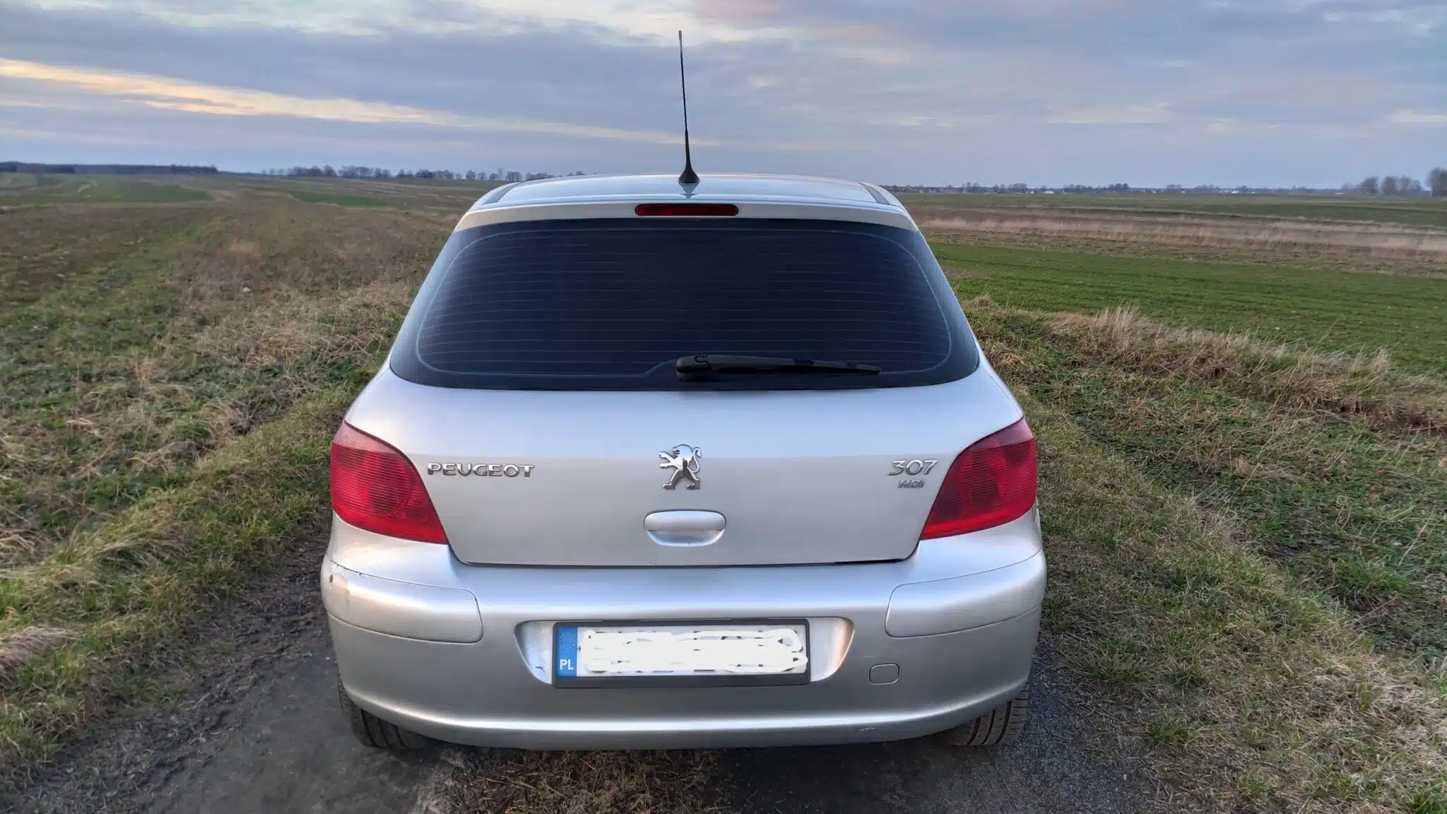 Peugeot 307 2.0HDI 2001r,