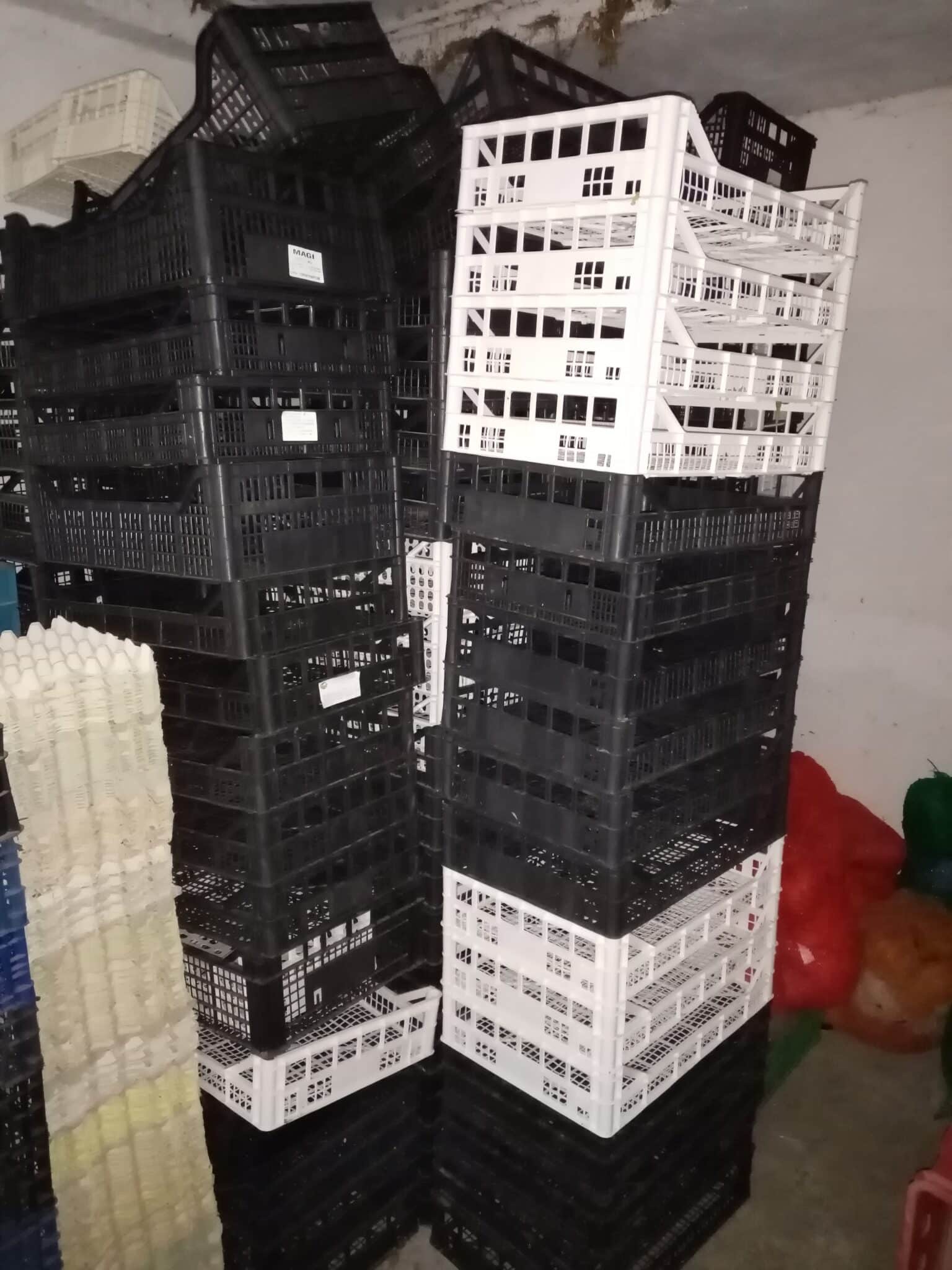 Skrzynki plastikowe różne rodzaje po warzywach