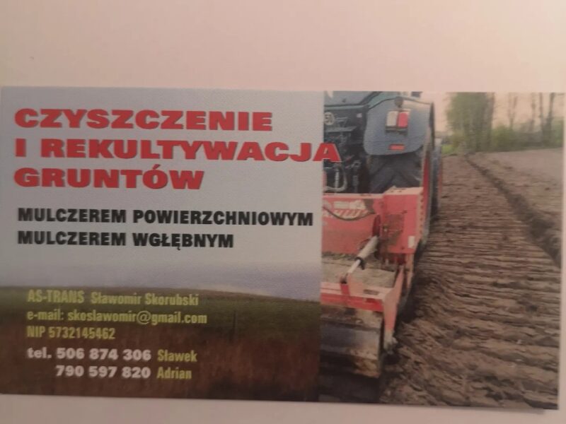 Wycinka drzew Mulczowanie Czyszczenie terenu