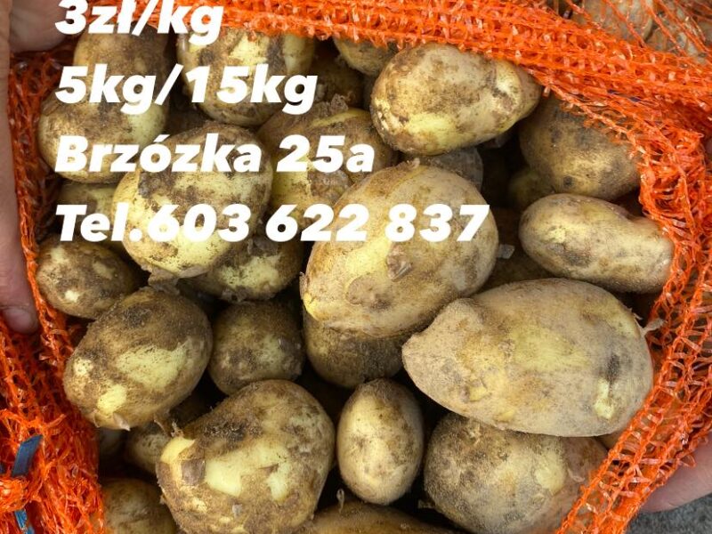 Ziemniaki Vineta