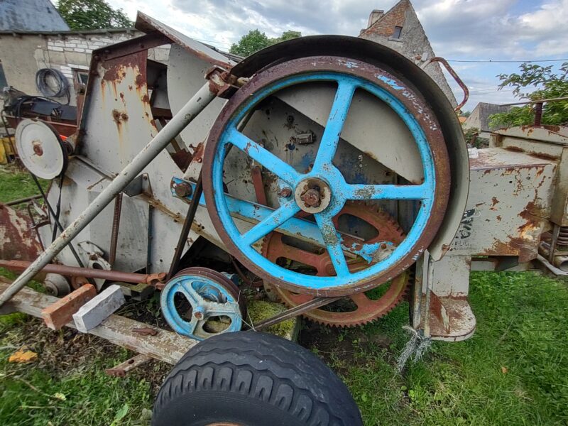 Prasa