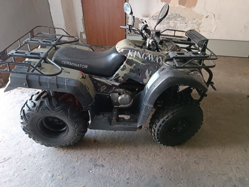Quad Kingway Terminator