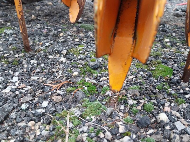 Siewnik 2m do zboża AMAZONE D7-20K grabie znaczniki docisk redlic