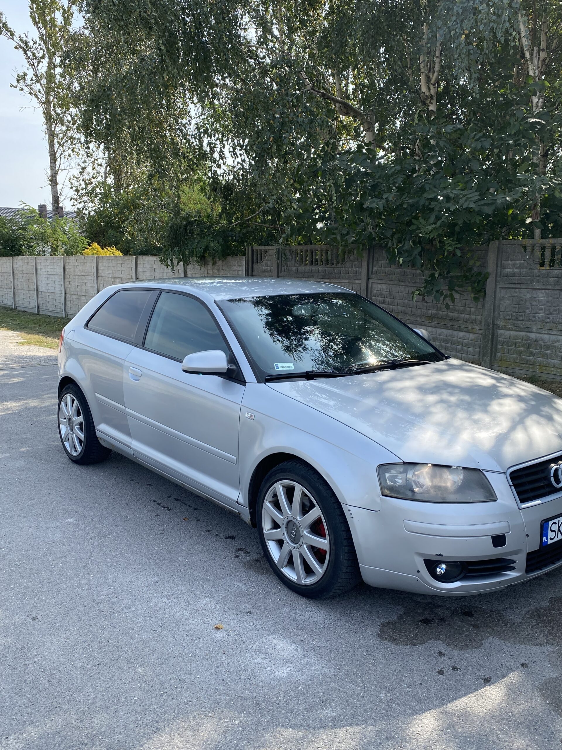 Audi a3 8p 2.0 tdi