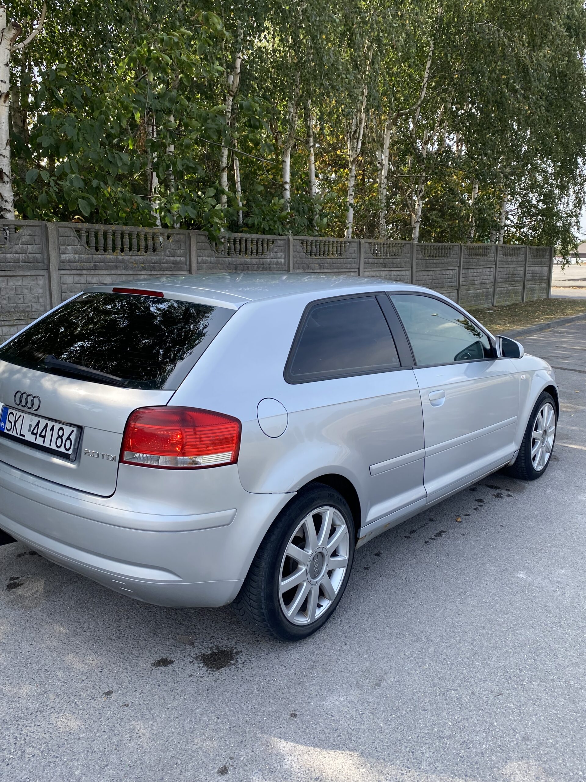 Audi a3 8p 2.0 tdi