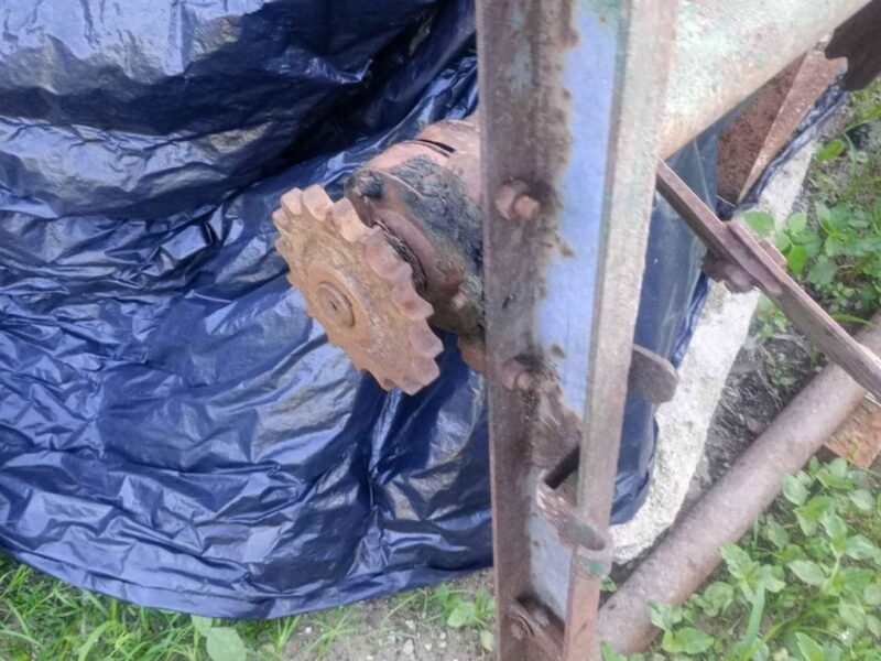 Adapter czarna białostocka