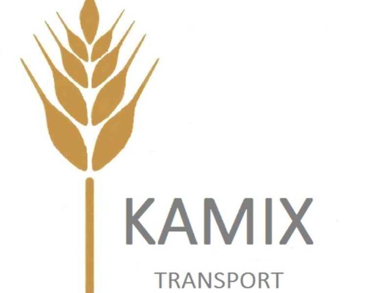 KAMIENIE OGRODOWE dekoracyjne