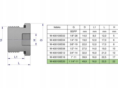 Korek hydrauliczny calowy (na imbus) 1 1/4" BSP ED Waryński