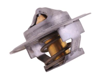 Termostat 895311H1 Landini Case POLMO