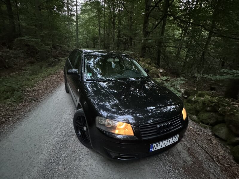 Audi A3 8P Full Black 2003r Automat