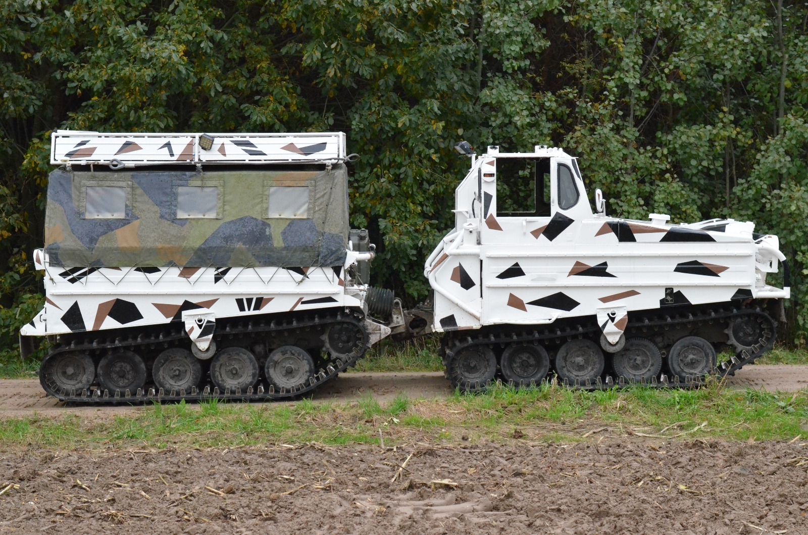 Wojskowa AMFIBIA Volvo BV 202 Nf BANDVAGN Ratrak off road