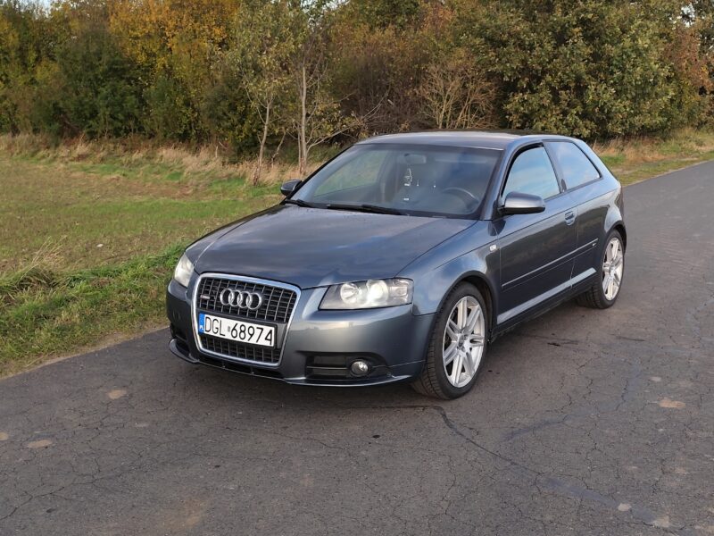 Audi A3 8P - 2.0 TDI - QUATTRO S-LINE