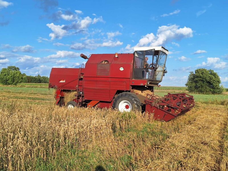 Bizon Rekord Z058