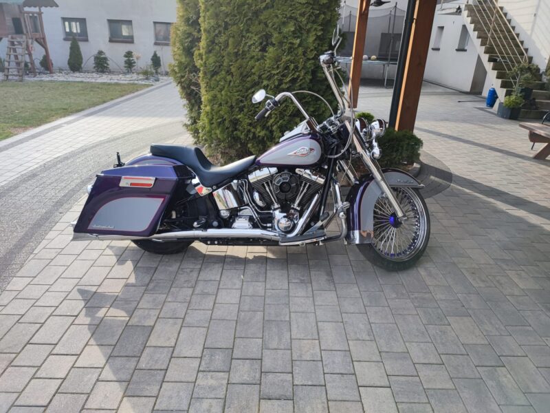 Harley Davidson softail