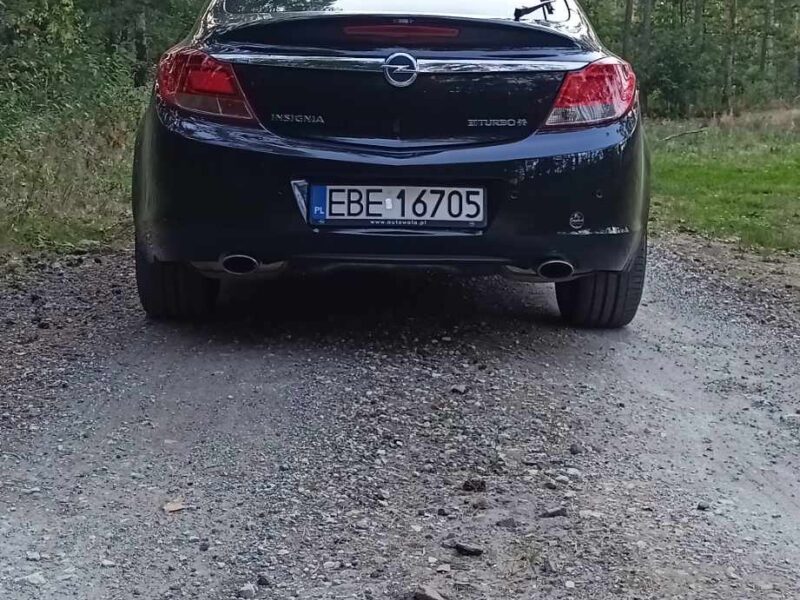 Opel Insignia A 2.0 CDTi biturbo 195km 4x4 automat 2013r