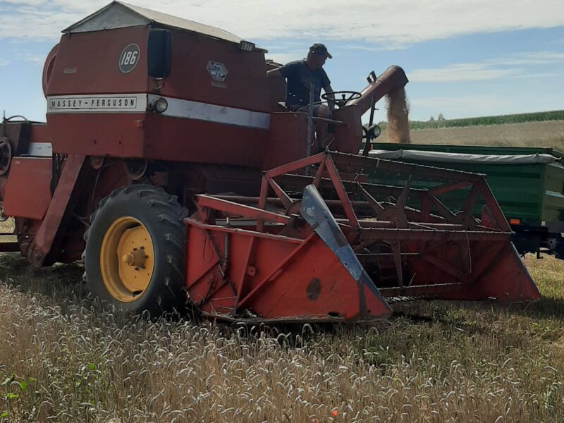 Massey Ferguson 186