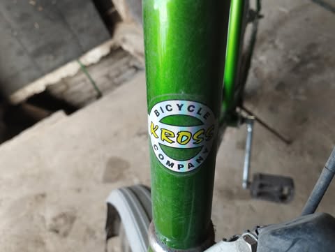 rower kóral