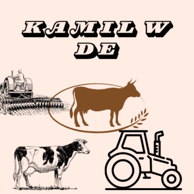 KAMIL wDE