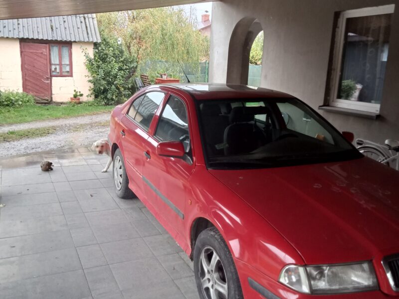 Skoda Octavia 1 1.9 TDI