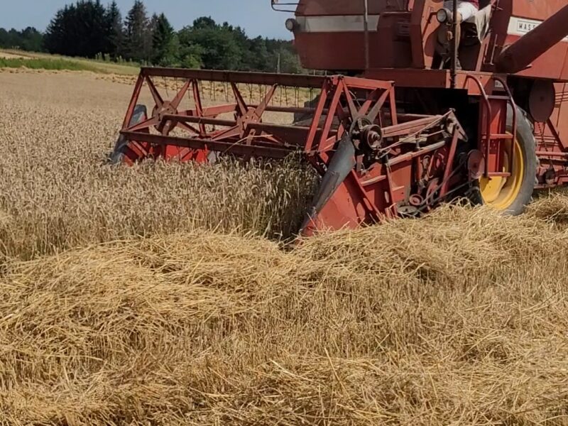 Massey Ferguson 186