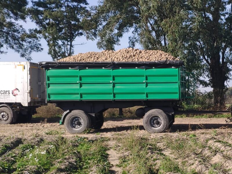 Przyczepa 3 stronny wywrot 18dmc (kogel, kassbohrer, Krone, zasław, metal tech)