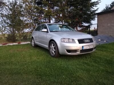 Audi A3 8P 2.0 Fsi