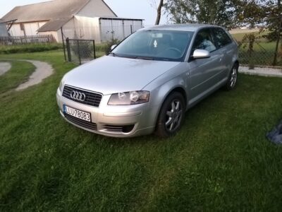 Audi A3 8P 2.0 Fsi