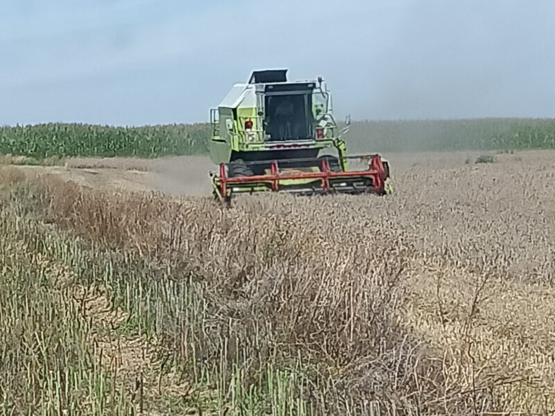 Claas Dominator 96