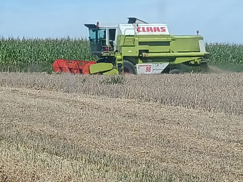 Claas Dominator 96