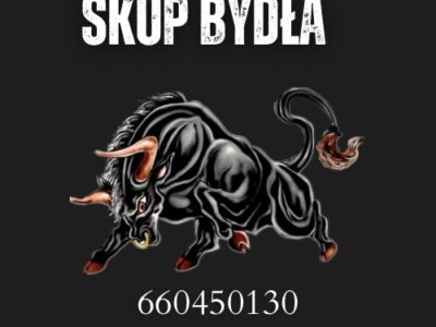 Skup i sprzedaż zwierząt