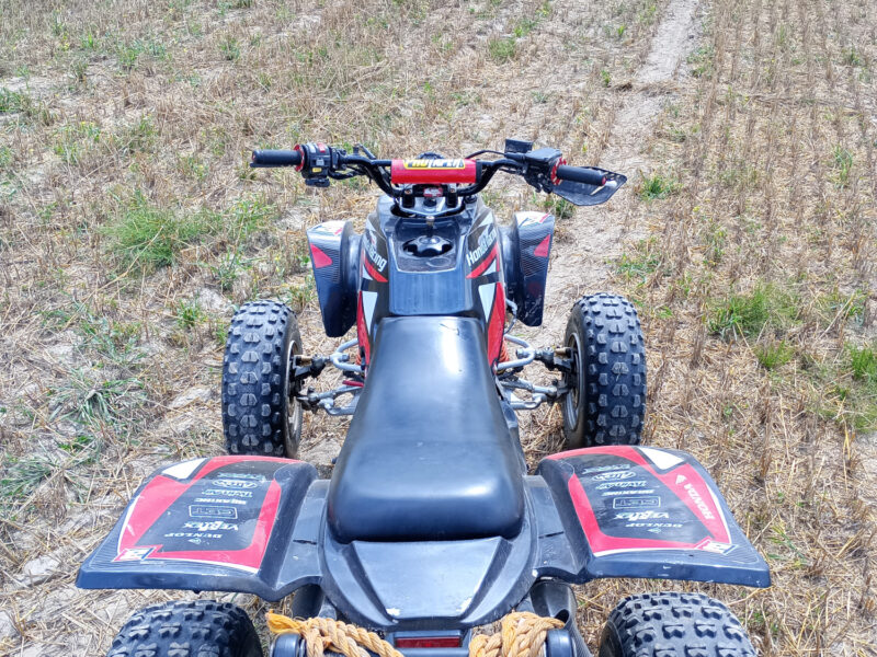 Quad Honda TRX300e