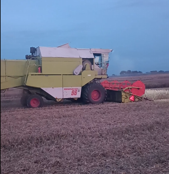 Claas Dominator 96