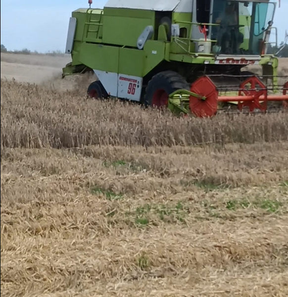 Claas Dominator 96