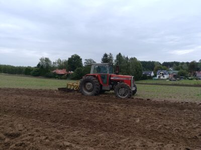 Massey Ferguson 595 MKII