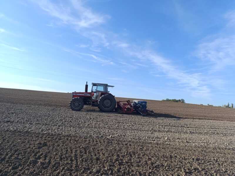 Massey Ferguson 595 MKII