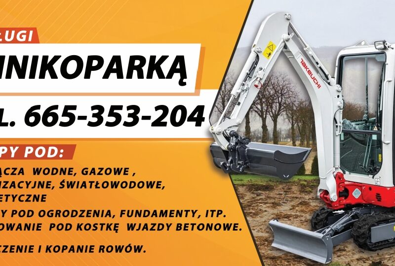 Usługi Minikoparka Koparką 8T