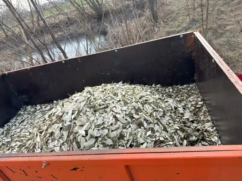 Wynajmę rębak do gałęzi