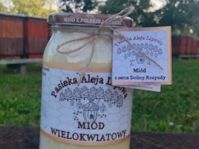 Miód – Wielokwiatowy – kwiaty, łąki, sady, mniszek, rzepak