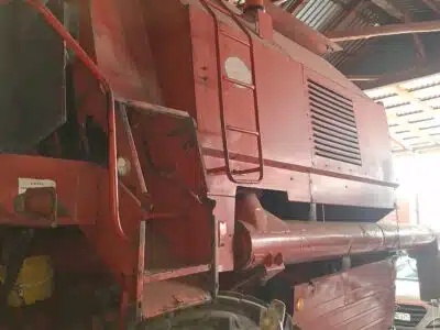 Bizon Rekord