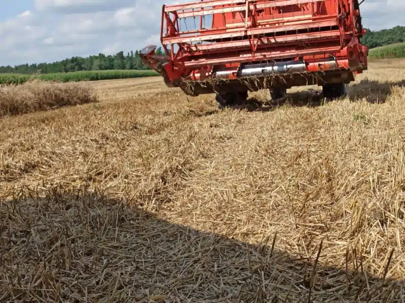 Sprzedam kombajn fahr m750 z sieczkarnią