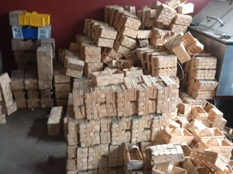 Łobianki małe 0.5kg i kobiałki