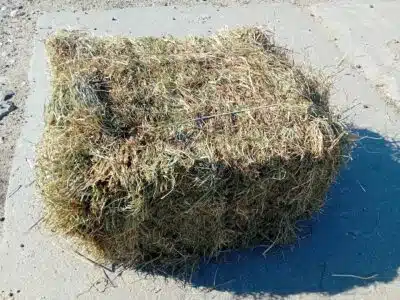 Siano mała kostka