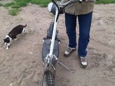 sprzedam hulajnoga elektryczna