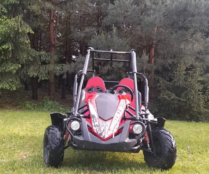 Quadzilla Buggy 200cc