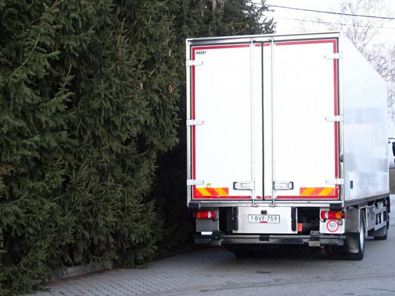 MAN TGM 18.250 Euro 5 chłodnia 20 palet winda sprowadzony MAN TGM 18.250 euro 5 chłodnia carrier supra 950 20 palet ks.serwisowa