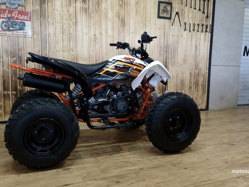 KAYO Inny SALON MOTOCYKLOWY MOTOEAGLES Kayo A 180 Sprawdż ofertę i Serwis