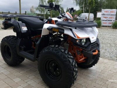 KAYO Inny SALON MOTOCYKLOWY MOTOEAGLES Kayo AU 180 Sprawdż ofertę i Serwis