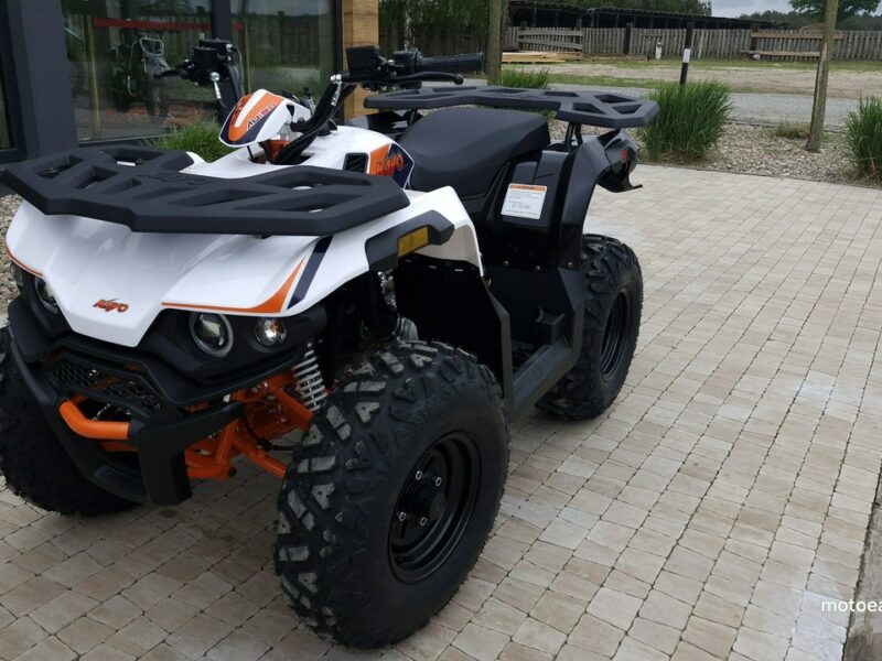 KAYO Inny SALON MOTOCYKLOWY MOTOEAGLES Kayo AU 180 Sprawdż ofertę i Serwis