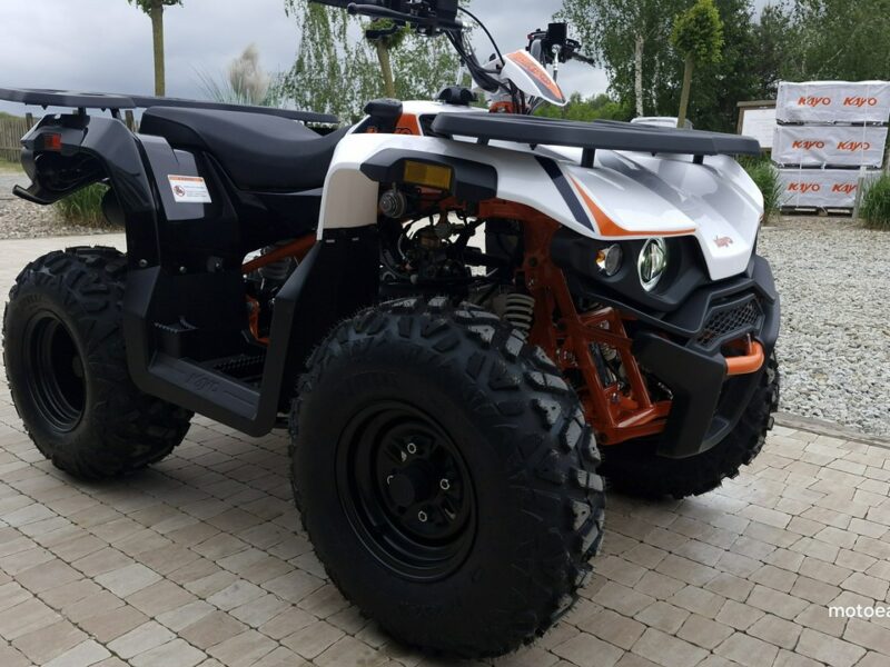 KAYO Inny SALON MOTOCYKLOWY MOTOEAGLES Kayo AU 180 Sprawdż ofertę i Serwis